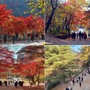 서울대 관악수목원 이미지