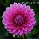 대흥사 | 성북구 요양원 찾고 있다면 장기요양재가노인 나누우리복지센터 안전하고 따뜻한 돌봄