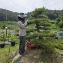 주석농장 이미지