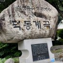 산상낙원 티스토리