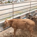 영산강농장 이미지