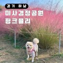 경기도 핑크뮬리 명소 가볼만한곳 하남 미사경정공원 주차비 애견동반 후기