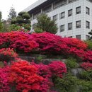 동강대학교 - 25459 | 동강대학교