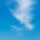 맑은하늘 이미지