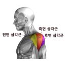 금강헬스 이미지