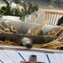 인하코리아태권도장 이미지