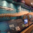 수산과학관 이미지