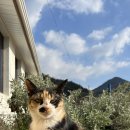 로스터리 연화 이미지