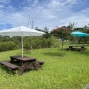 도심 - 공간 이미지