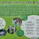 둔산 선사유적지 이미지