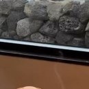 하늘고래블루 이미지