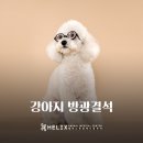 헬릭스동물메디컬센터 이미지