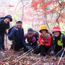 백양 메리야스 이미지