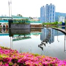 시민공원 남문 이미지