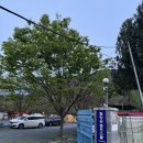 B21-1 | 밀양강 캠프스쿨 오토 캠핑장 (B21)