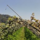 덕과면 덕동마을 이미지