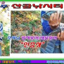 산골낚시터