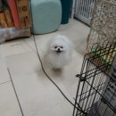 루이호텔 Daum카페