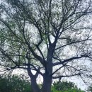 생금우물 이미지