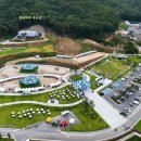 반려마루 동물병원 국민일보