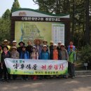 산과 들의 약용식물 이미지