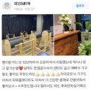 (1:1레슨)하모니카 개인레슨(50분)(김영조선생님) | [성남/단대오거리]오앤오 필라테스 &amp; 자이로토닉 - 15년경력 커리어를 가지신 대표 원장/부원장님