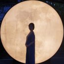 임신 25주~26주차 일상 : 서서히 회복되는 입맛, 임당검사, 부작용없는 임산부 철분제, 모아철, 서울...