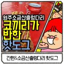 오가네손두부막국수코끼리핫도그 | 간현 핫도그 :: 소금산 출렁다리와서 점보핫도그와 치즈핫도그를 먹은 후기ㅡ 코끼리가 반한 핫도그