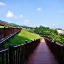 솔밭공원 농구장 이미지