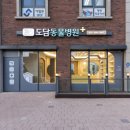 배곧도담동물병원 이미지