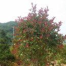 한길농원 이미지