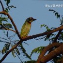 초심공인중개사사무소 이미지