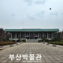 부산박물관문화체험관 이미지