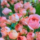 연제일신병원 이미지