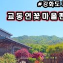 교동연꽃마을펜션