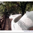 천국은불타고있다 이미지