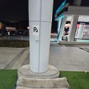 펫존 | 반려동물 동반 경기광주휴게소(광주방향) 펫존 후기