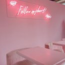 핑크앤블루 이미지