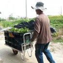 버팀목농원 이미지