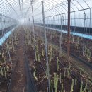 김완태농장 이미지