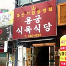 마산 한우 맛집!! 용궁식육식당을 다녀와서...