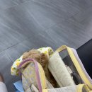 부곡동물병원 이미지