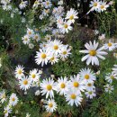 감악산 황토방 이미지