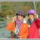 백운행복 이미지