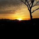 해돋이농장 이미지