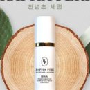 평창청옥산천년초