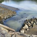 선소바다 이미지