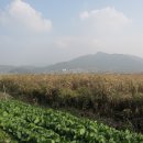 송림길삼거리 티스토리