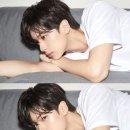 퍼블릭헤어 이미지