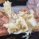 한바다횟집 이미지